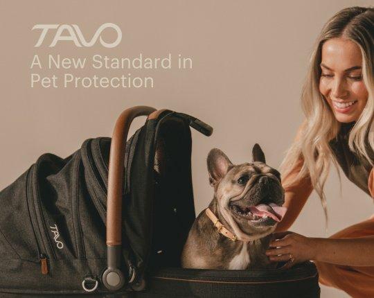Tavo Maeve Medium Dog Car Seat with Car Seat Base - Rigid Merle