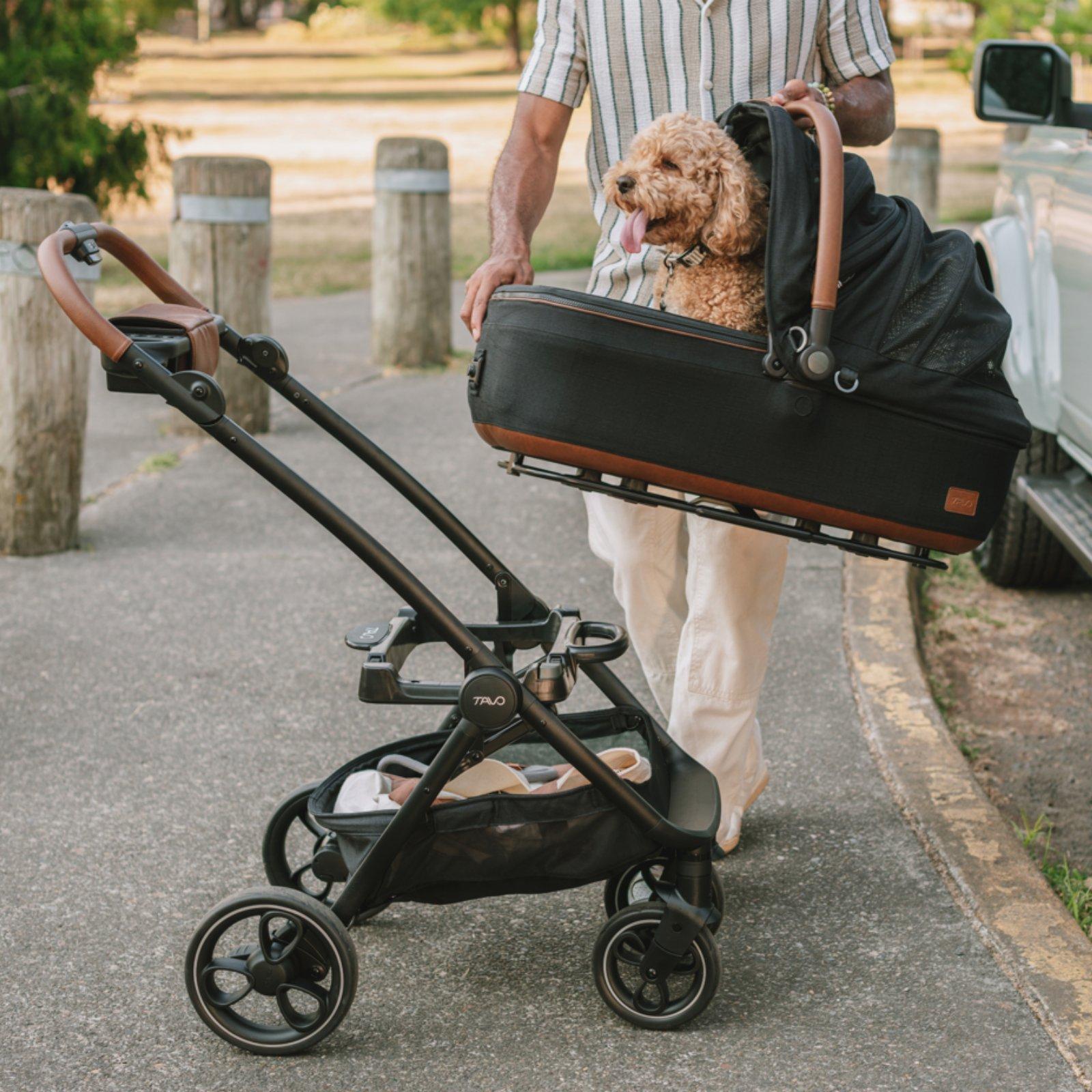 Tavo Maeve Small Dog Car Seat with Car Seat Base - Flex Onyx 11 Tavo Maeve Small Dog Car Seat with Car Seat Base - Flex Onyx