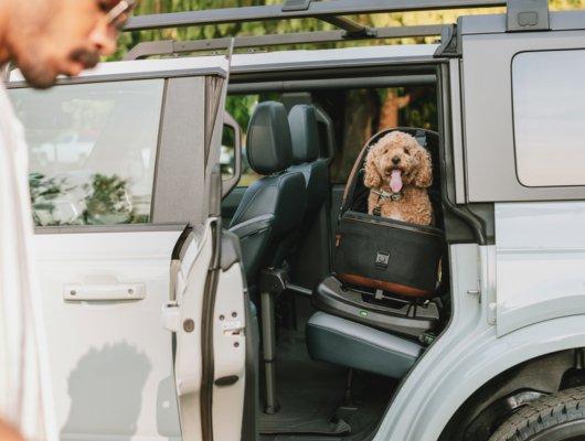 Tavo Maeve Small Dog Car Seat with Car Seat Base - Flex Merle 12 Tavo Maeve Small Dog Car Seat with Car Seat Base - Flex Merle