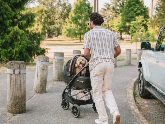 Tavo Maeve Small Dog Car Seat with Car Seat Base - Flex Merle 15 Tavo Maeve Small Dog Car Seat with Car Seat Base - Flex Merle