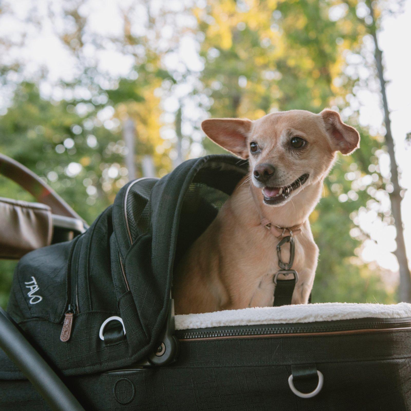 Tavo Maeve Small Dog Car Seat with Car Seat Base - Flex Merle 8 Tavo Maeve Small Dog Car Seat with Car Seat Base - Flex Merle