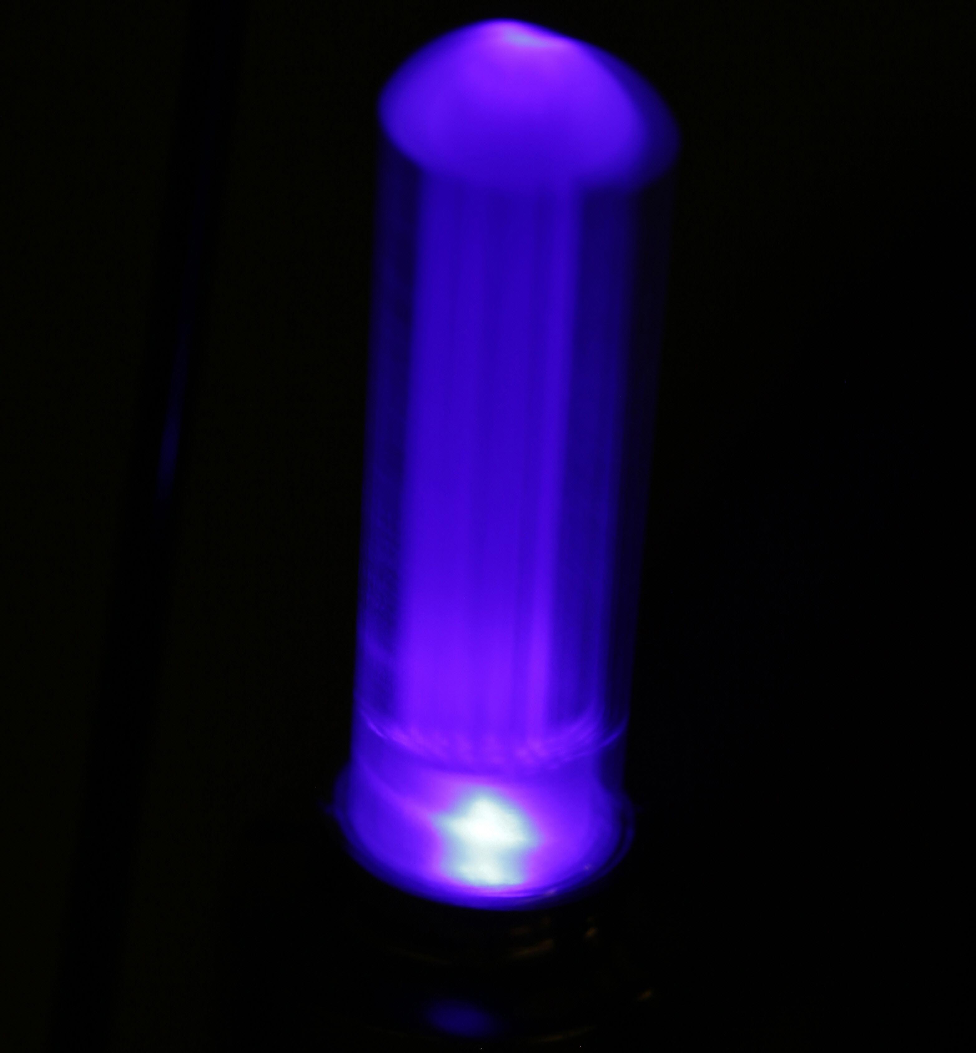 Halfords Essential Kids Bike Valve Cap Lights - Blue