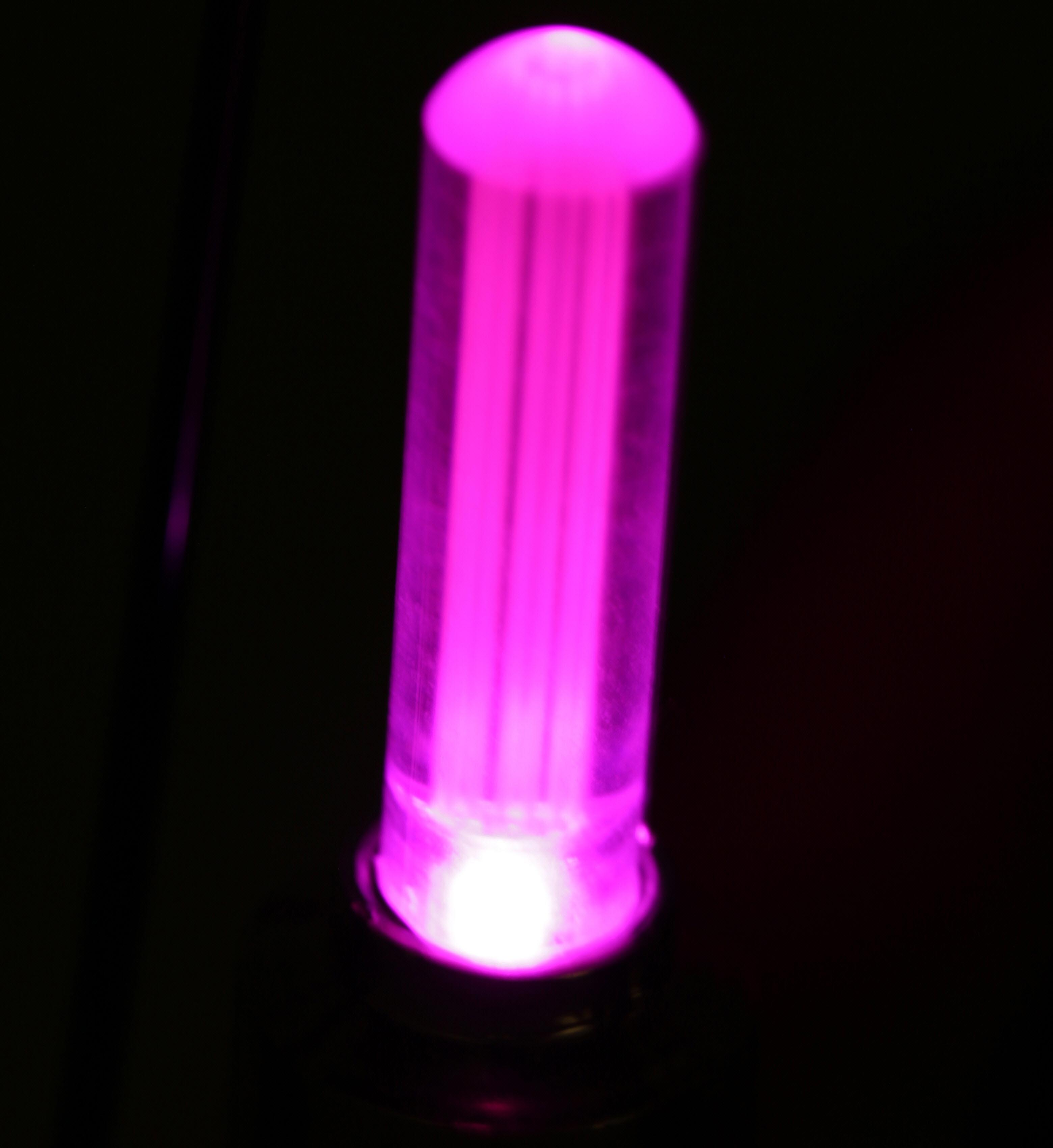 Halfords Essential Kids Bike Valve Cap Lights - Pink 3 Halfords Essential Kids Bike Valve Cap Lights - Pink