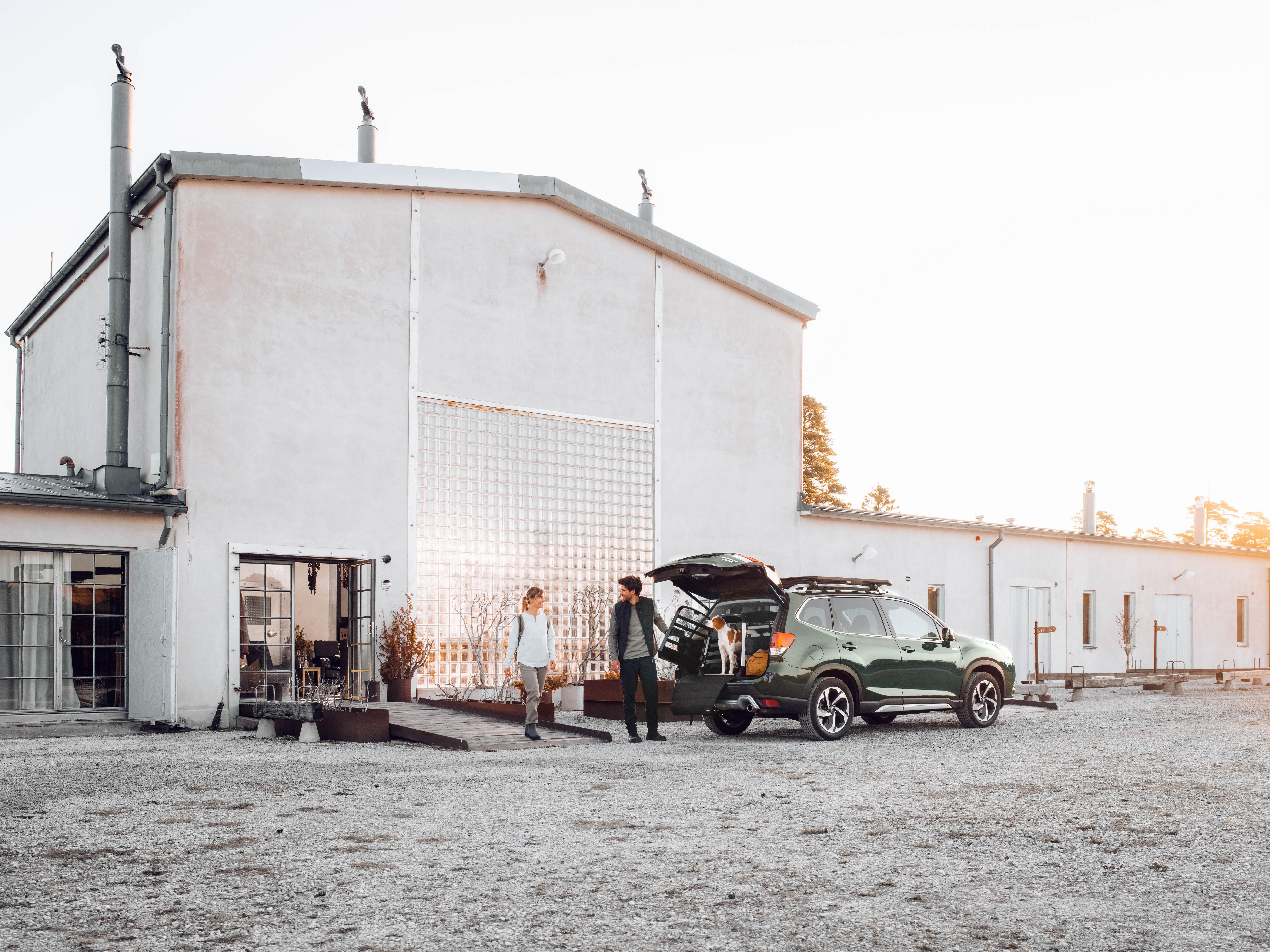 Thule Allax Small Dog Crate 10 Thule Allax Small Dog Crate