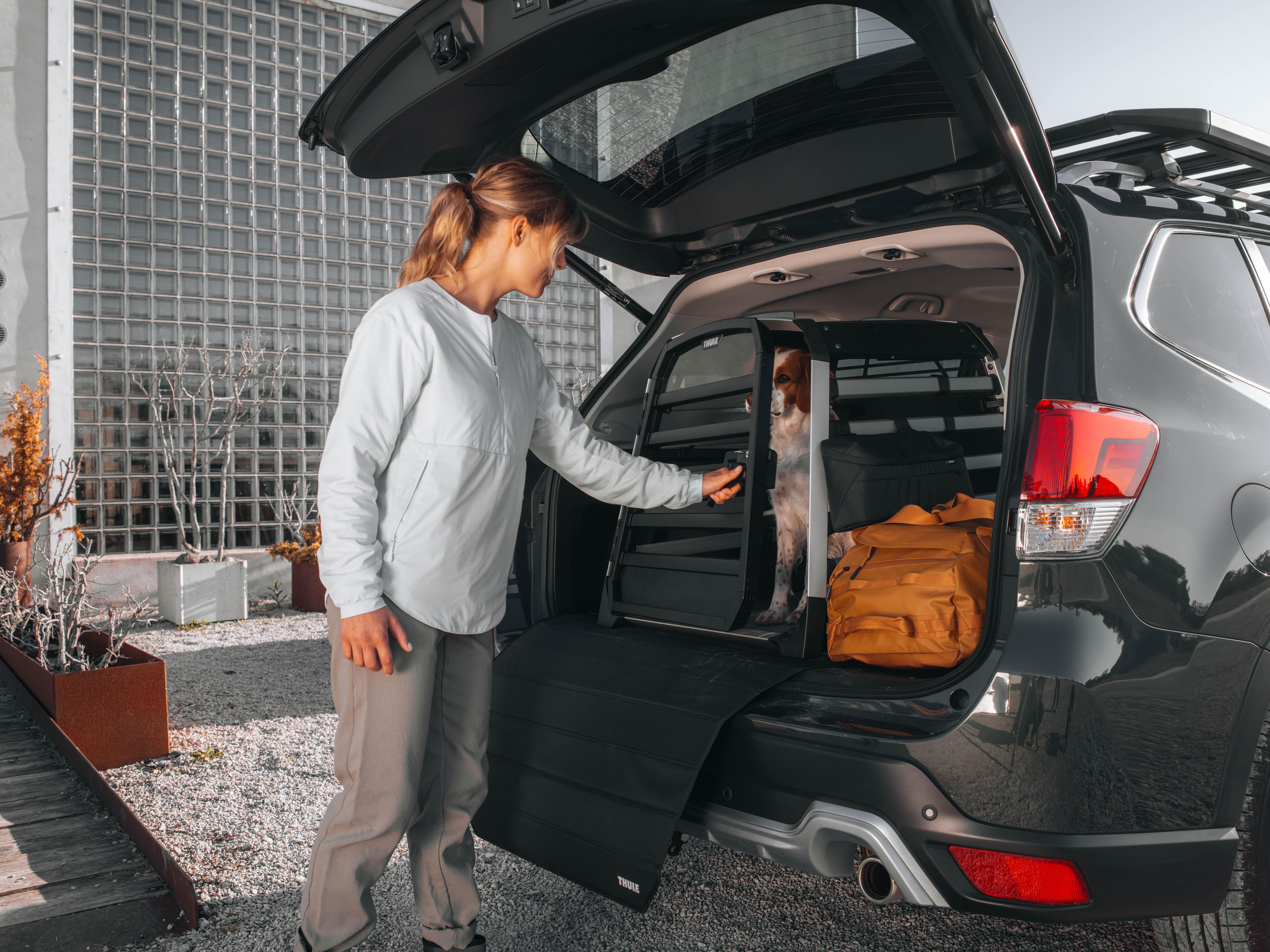 Thule Allax Large Dog Crate