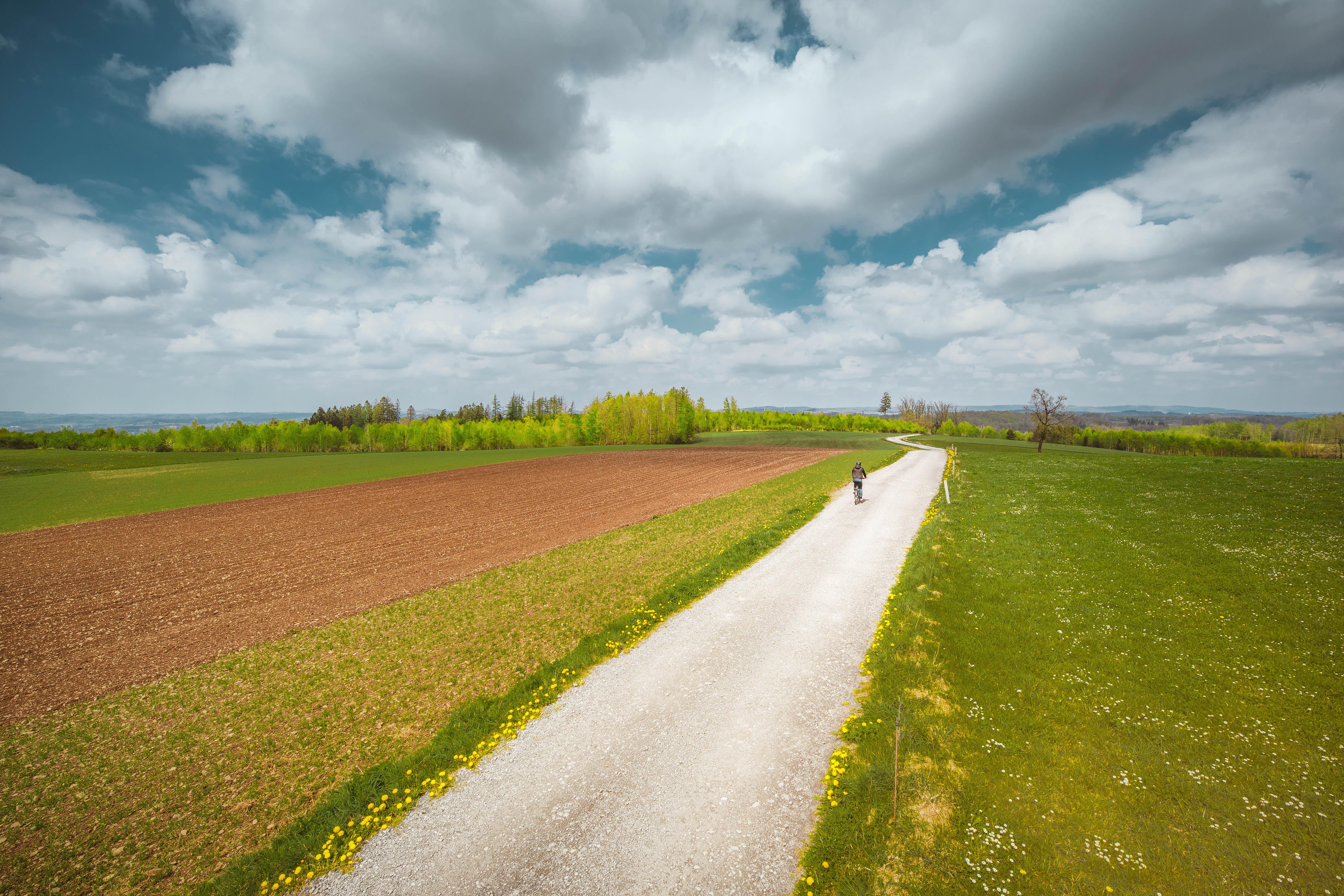 Schwalbe Marathon Plus Bike Tyre 16x1.35