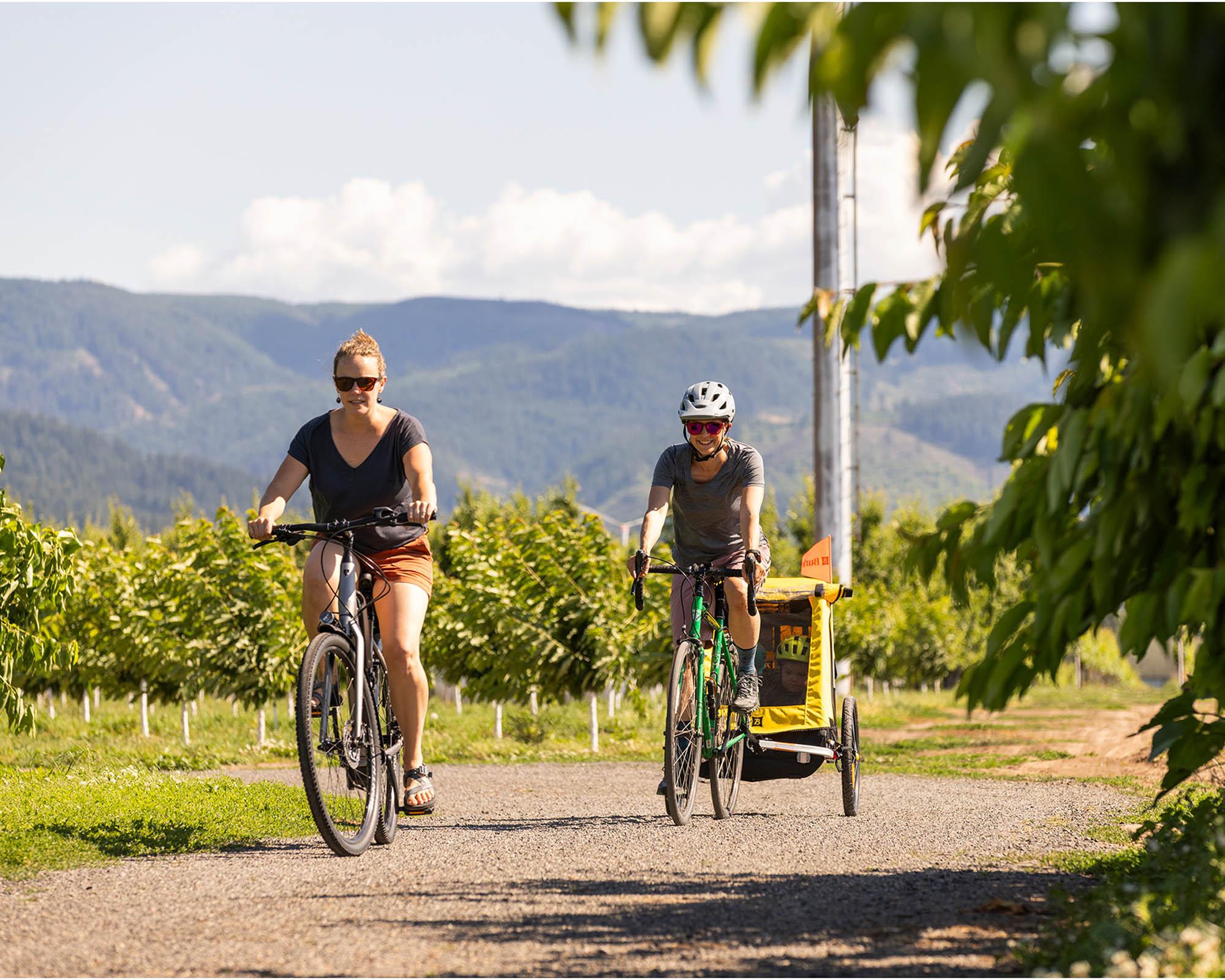 Burley Bee Single Child Trailer