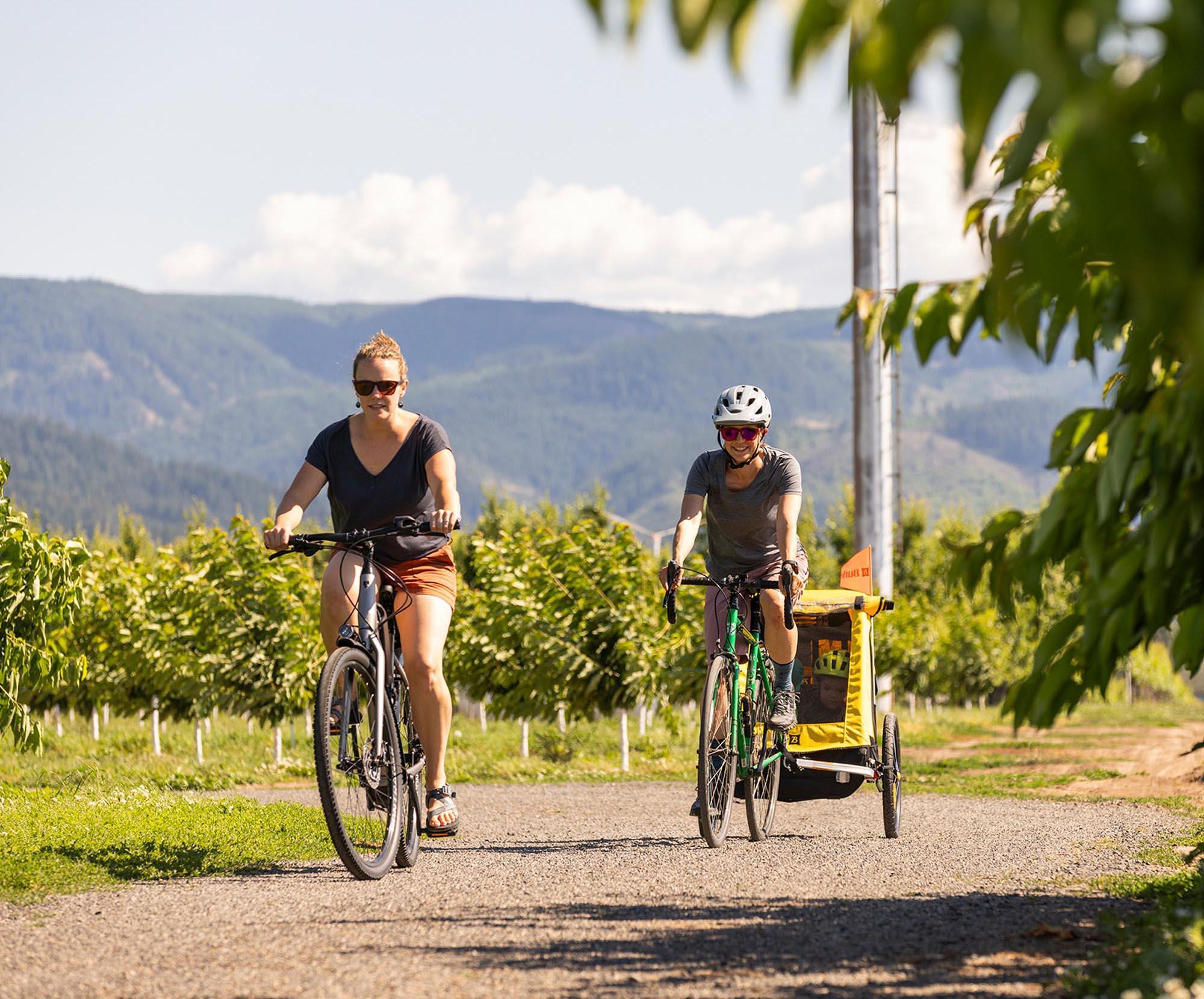 Burley Bee Double Child Trailer