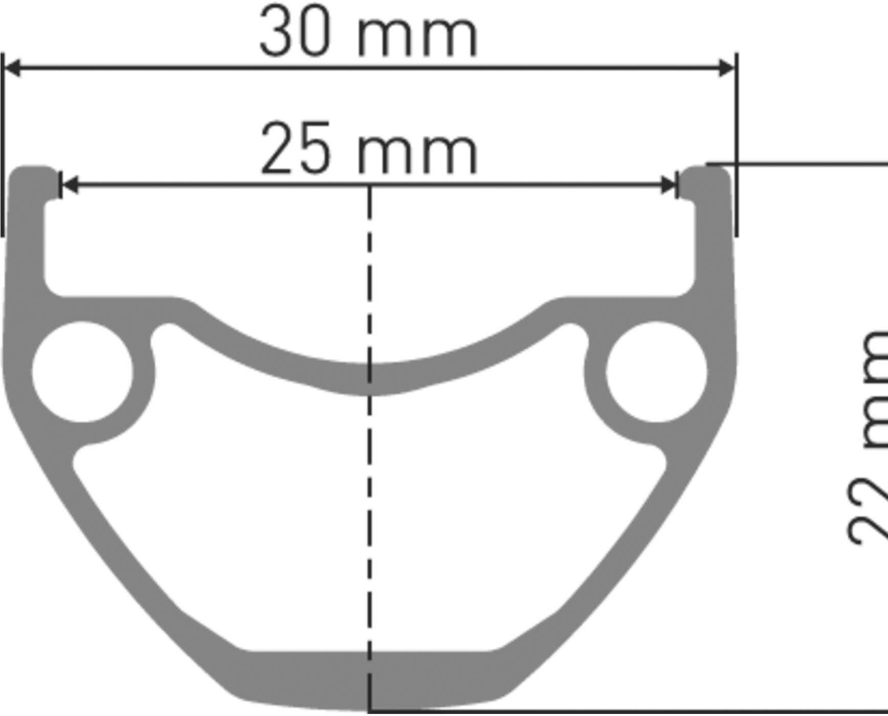 DT Swiss HU 1900 SPLINE E-Bike 29" Wheel